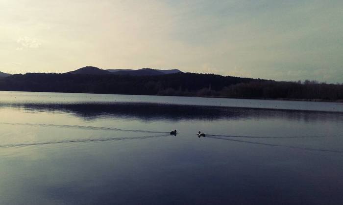 12472534_10153457047071033_7746069821528570297_n