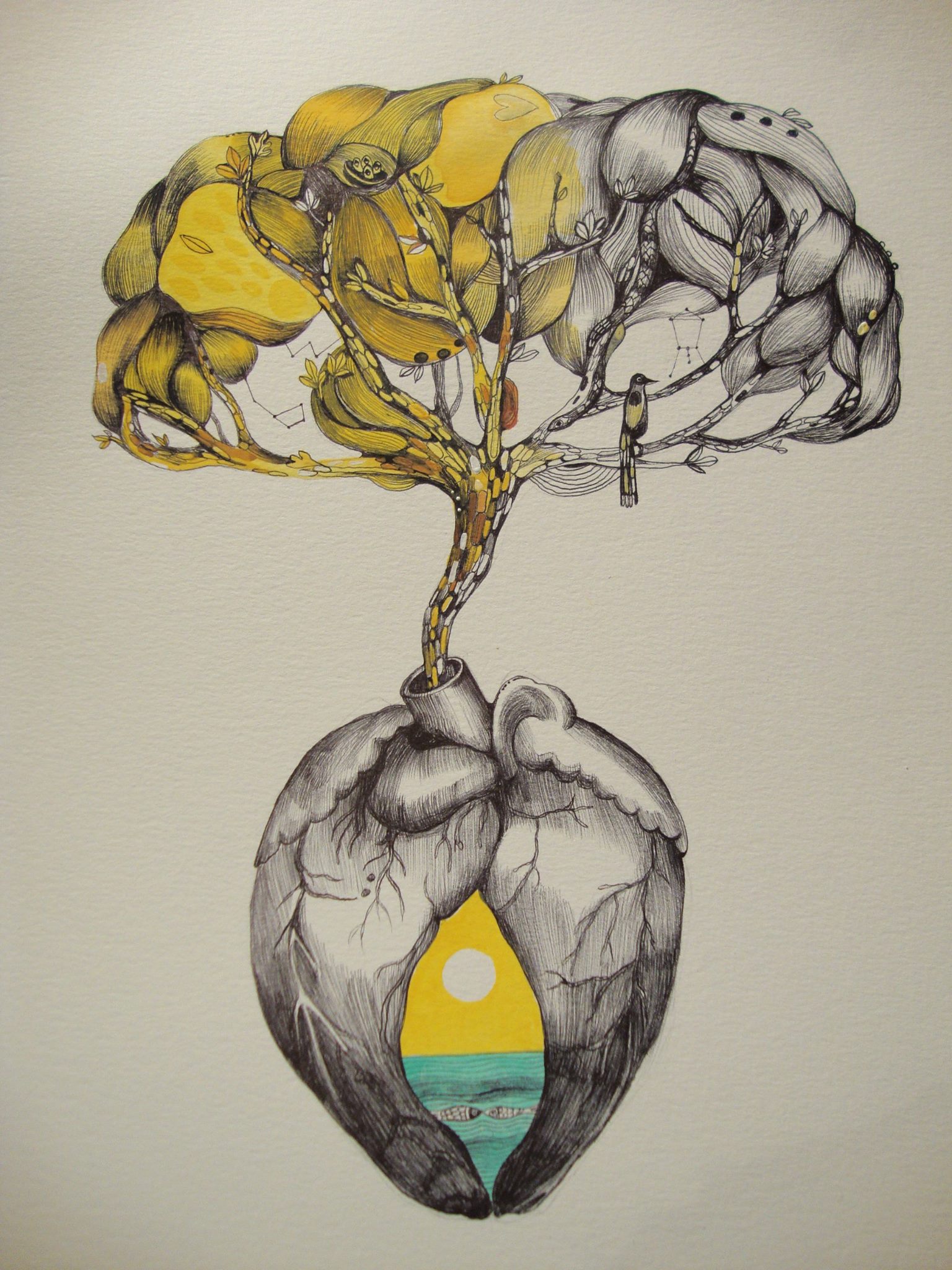 15875334_289366338132624_7921586699788485175_o